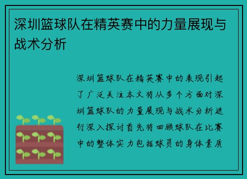 深圳篮球队在精英赛中的力量展现与战术分析
